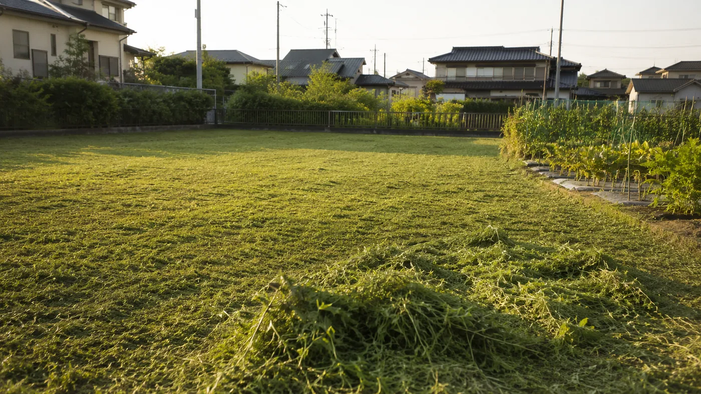 草刈りを終えたきれいな空き地と家庭菜園